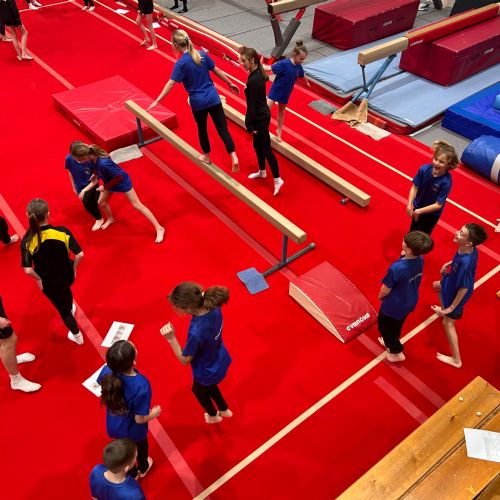 Year 5/6 Gymnastics Festival