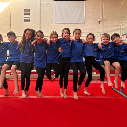 Year 3/4 Gymnastics Festival